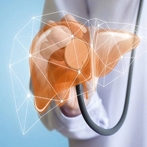 آنزیم های کبدی 